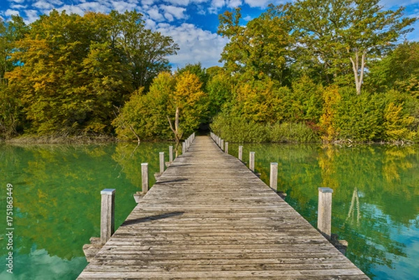 Obraz Steg im Herbst
