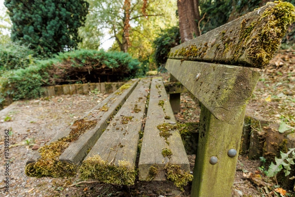 Fototapeta View of an old wooden bench in a public park, France