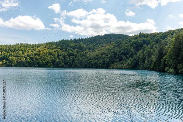 Fototapeta View of the Lake Pavin, a famous place in Auvergne, France
