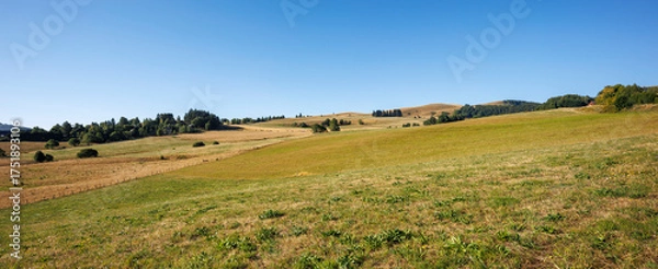 Fototapeta Panoramic view of a meadow in Besse-et-Saint-Anastaise, Auvergne
