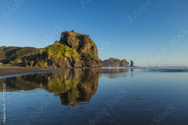 Fototapeta ニュージーランド　オークランド近郊のピハ・ビーチにあるライオン・ロック