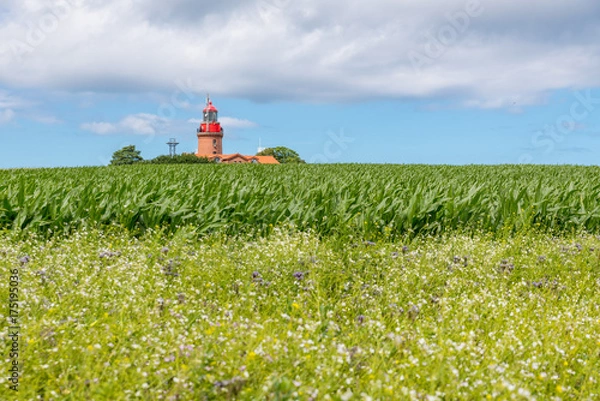 Obraz Leuchtturm an der Ostsee