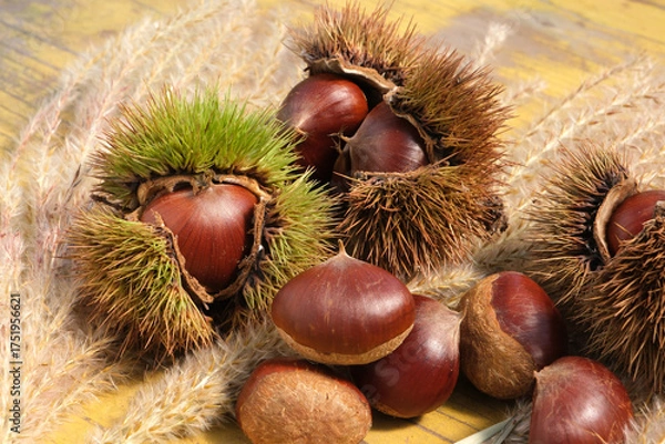 Obraz 甘ーい栗の実