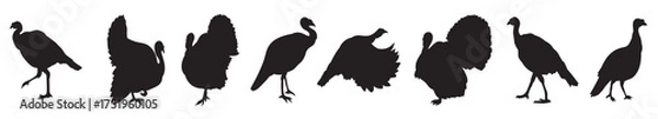 Obraz wild turkey icons vector.