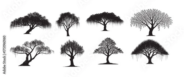 Obraz willow tree silhouette vector