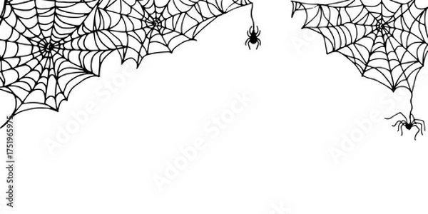 Fototapeta Horizontal frame with a spider hanging from a web. Black outline drawing for Halloween. Hand drawn graphic frame with space for text. Line illustration of a creepy insect, threads for decoration