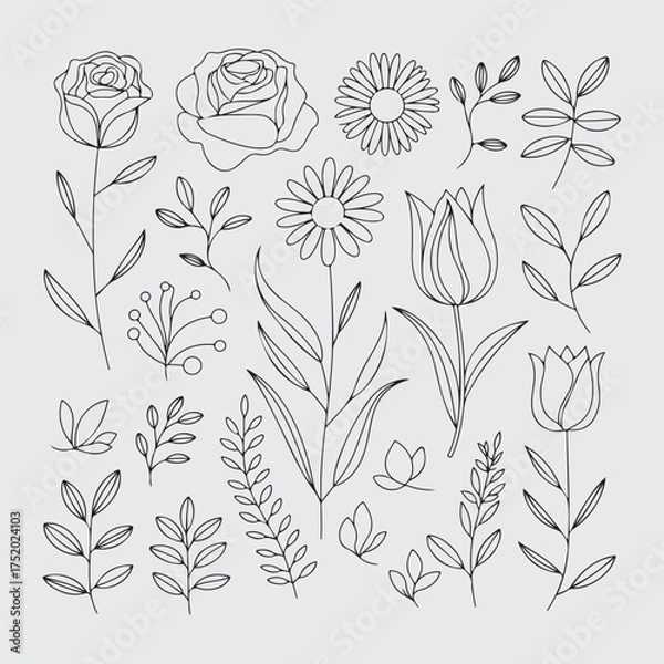 Obraz set of floral elements. Line art floral botanical design