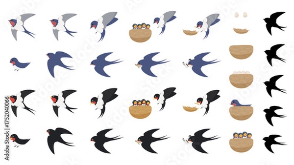 Obraz ツバメの色々なポーズと巣のイラスト素材セット
