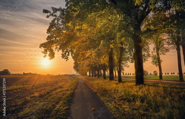 Obraz Der lange Weg 