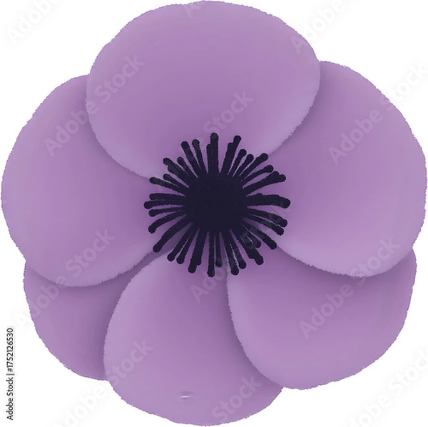 Obraz 보라색아네모네꽃일러스트_중앙배치_흰배경