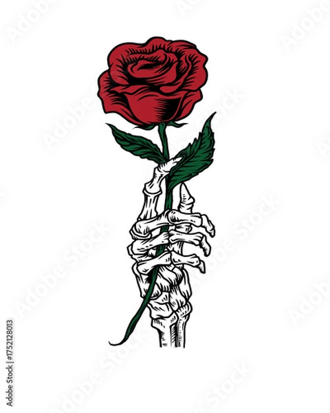 Obraz Skeleton Hand Holding a Red Rose on a Stem flower isolated on a transparent background