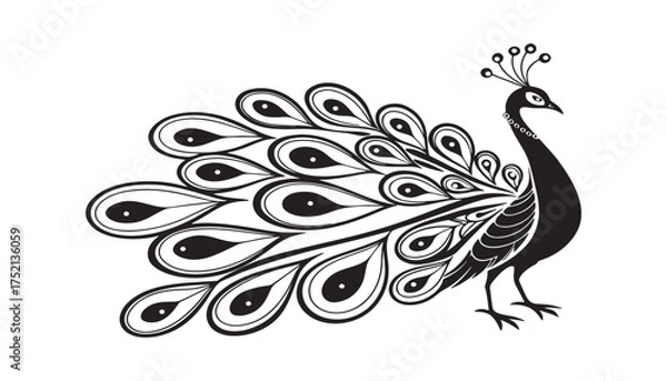 Fototapeta Peacock feather vector illustration with floral and ornamental design elements