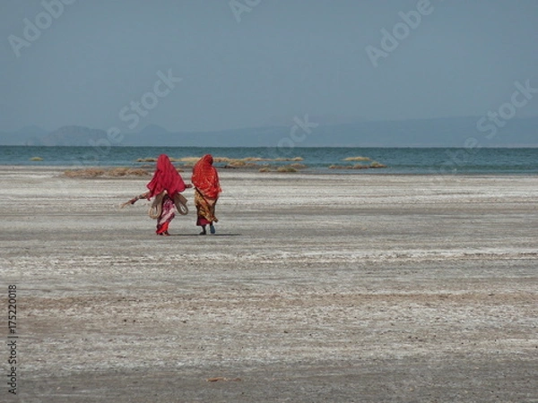 Obraz gardiennes moutons