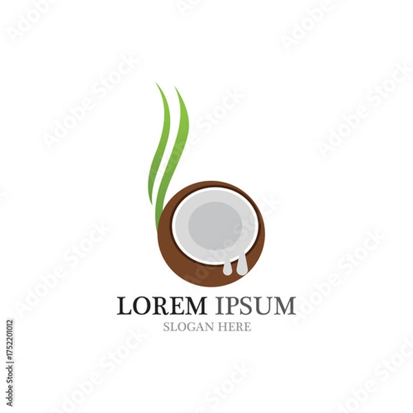 Obraz Coconut fruits vector ilustration