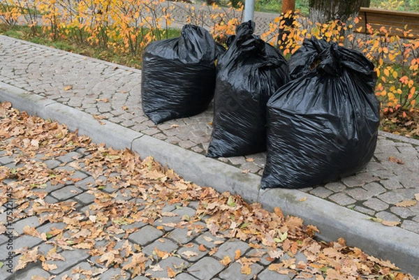 Fototapeta Black trash bags filled with autumn leaves