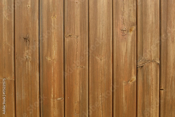 Obraz The wood how background