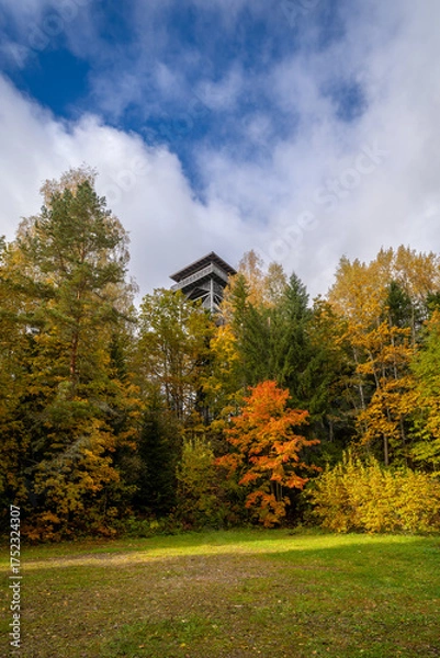 Obraz Tellingumäe observation tower in Estonia