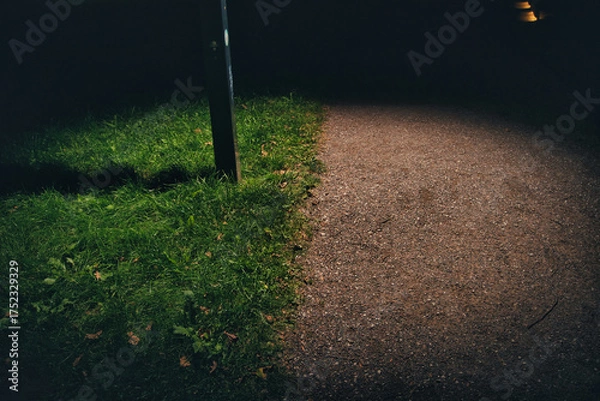 Fototapeta Night Pathway with Grass and Light Contrast