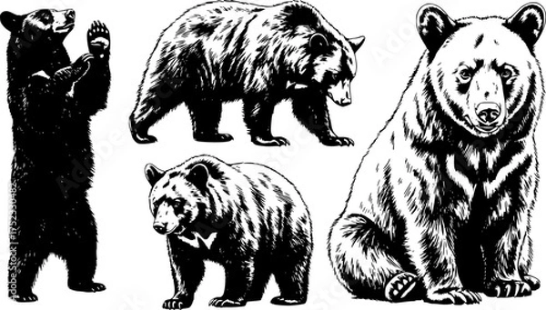 Obraz set of sketch black silhouette of a Black Bear isolated animal wildlife