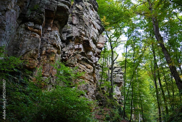 Fototapeta Teufelsschlucht (Eifel)
