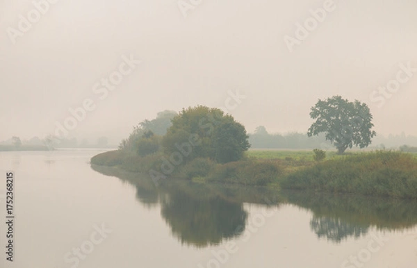 Fototapeta Beautiful landscape, river, trees covered with fog.