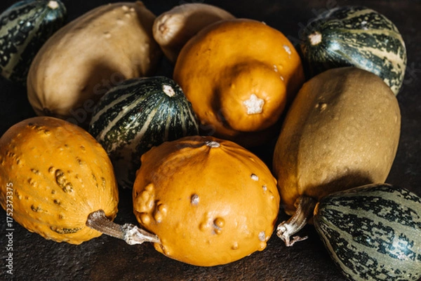 Obraz Yellow & Green Mini Decorative Pumpkins