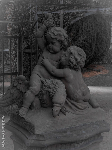 Fototapeta OLYMPUS DIGITAL CAMERA