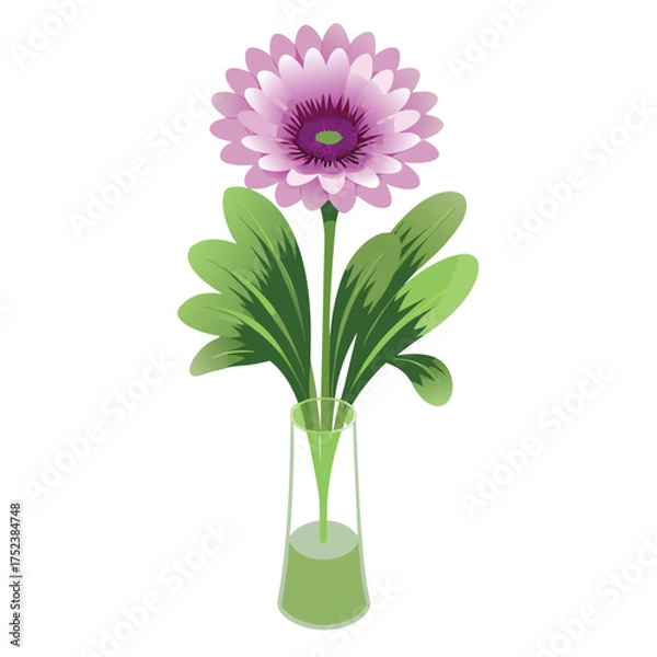 Fototapeta Pink gerbera and chrysanthemum flowers in a vase on a white background