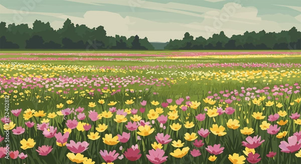 Fototapeta Vibrant floral meadow with colorful wildflowers under a clear sky