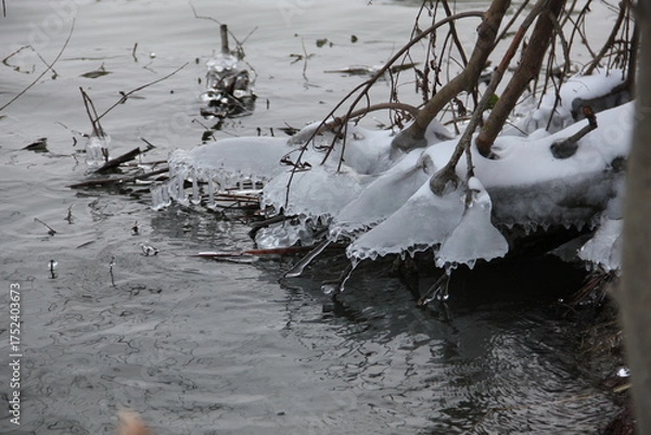 Fototapeta delicate ice formations clinging  at the water's edge