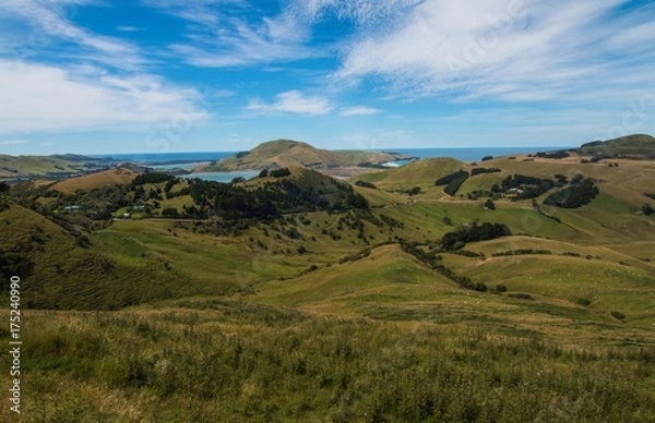 Fototapeta Pacific Air