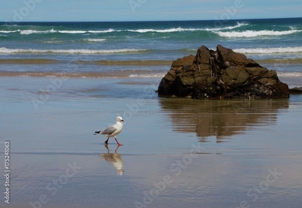 Fototapeta Pacific Air