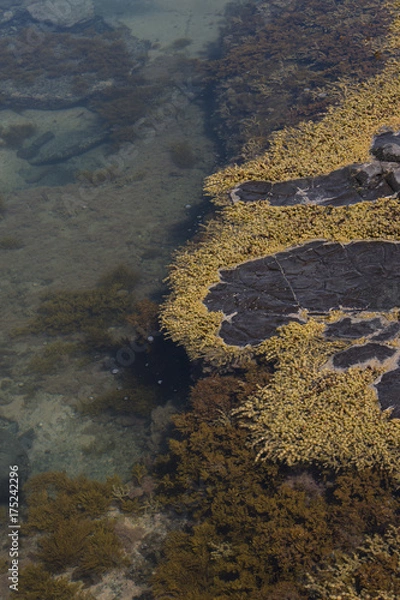 Fototapeta Coastal Nature
