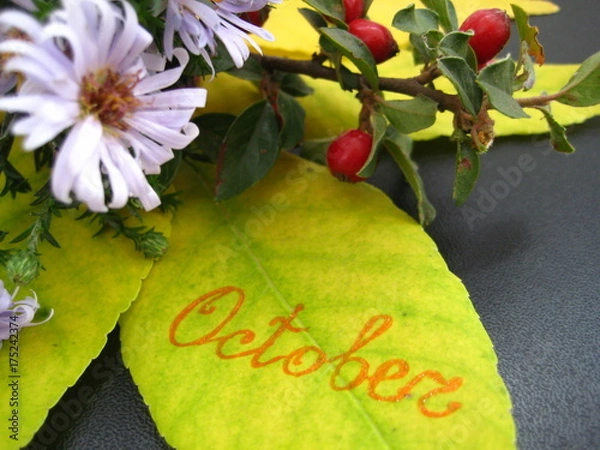 Obraz This is a bouquet of autumn flowers
