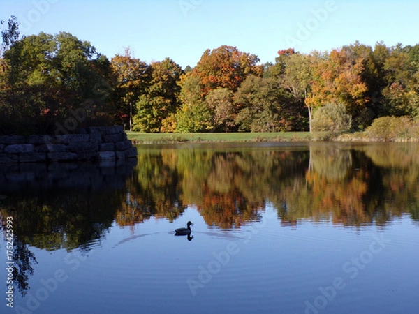 Obraz Fall landscape with lake in the park