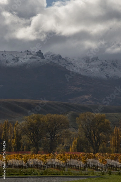 Fototapeta Queenstown NZ