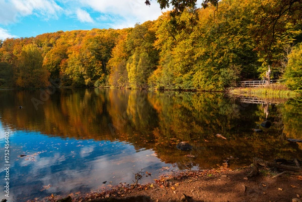 Fototapeta Beautiful autumn colors at Soderasen National Park in Sweden.