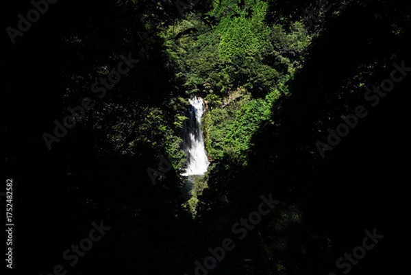 Obraz 森の中の花房の滝