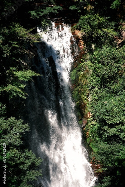 Obraz 霧島を流れる花房の滝