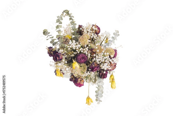 Obraz withered  flowers on the white background