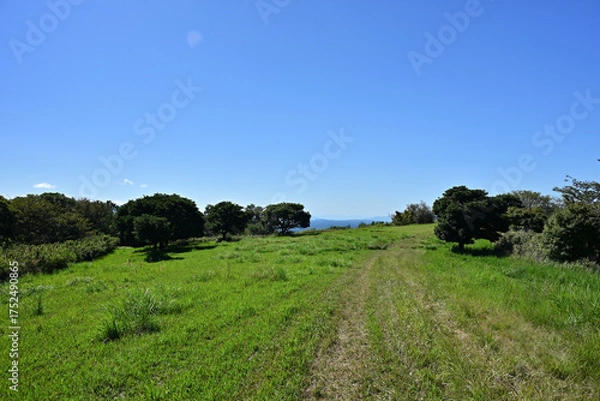 Obraz 綺麗な柳ヶ平散策路展望台