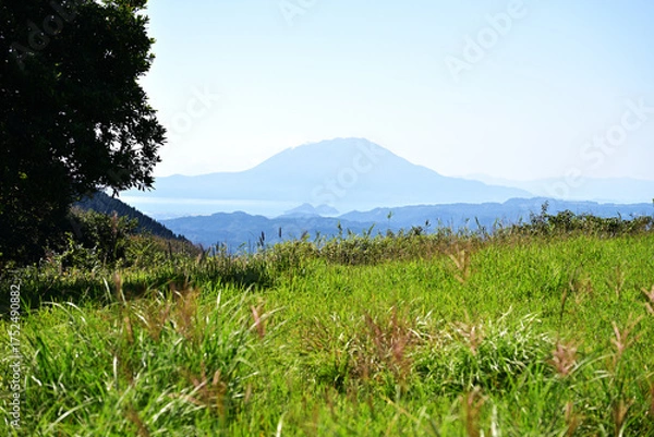 Obraz 緑が広がる柳ヶ平散策路展望台