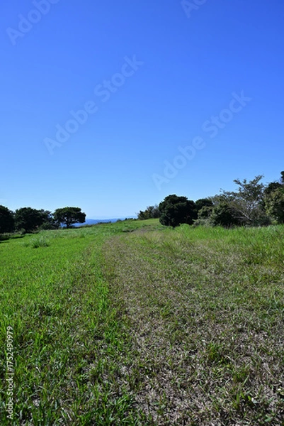 Obraz 柳ヶ平散策路展望台の夏風景