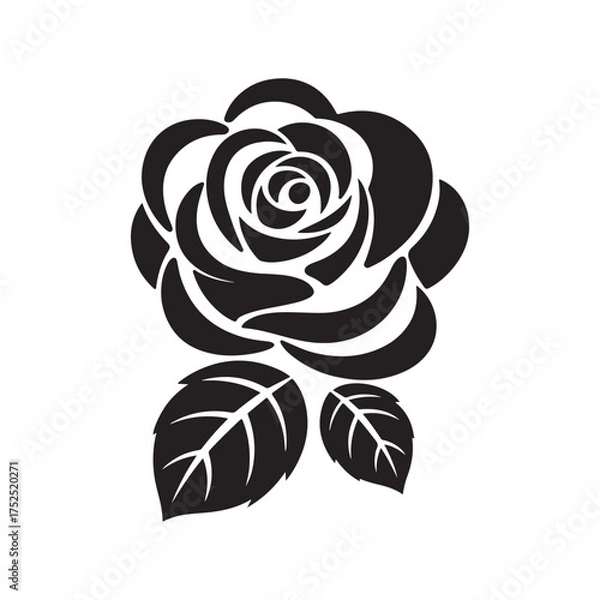 Obraz black and white rose