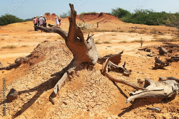 Fototapeta Sarigua National Park near Chitre Panama