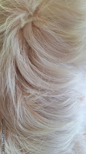 Obraz Soft Cream Fur Hair Texture Background with Fluffy and Warm Feeling