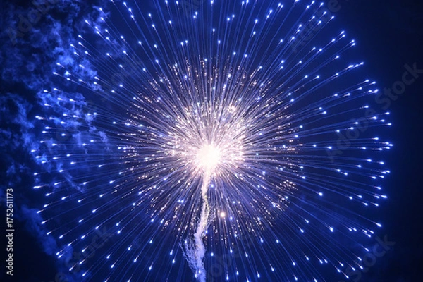 Obraz 夜空を彩る花火