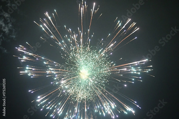 Obraz 夜空を彩る花火