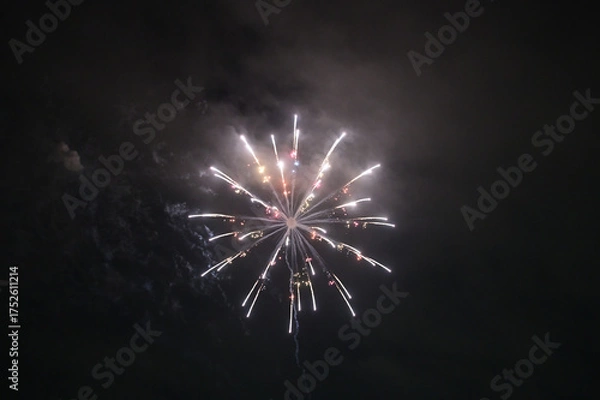 Obraz 夜空を彩る花火