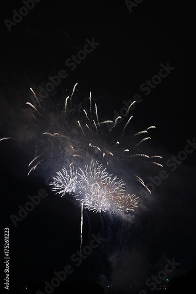 Obraz 夜空を彩る花火